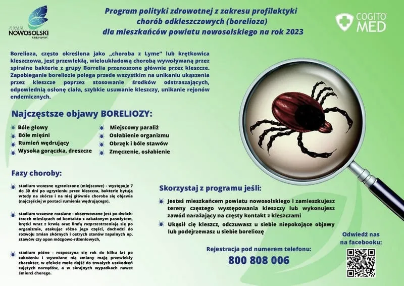 Borelioza u psa – jak skutecznie ją wyleczyć?