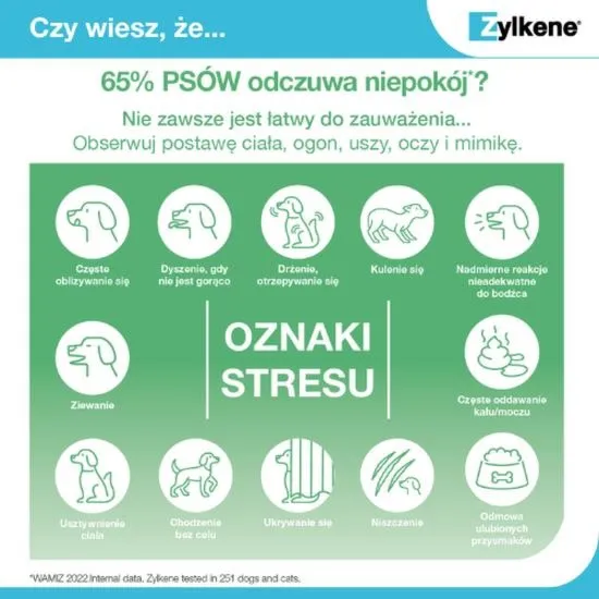 Co oznacza, gdy pies się trzęsie — przyczyny, objawy i jak pomóc