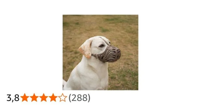 Czy psy mogą zachorować na HIV? Fakty, które warto znać