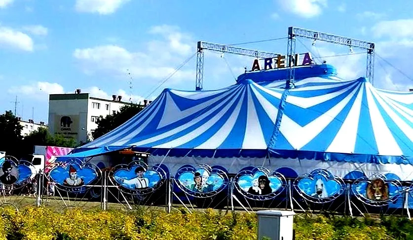 Czy w cyrku Arena występują zwierzęta — fakty i obawy