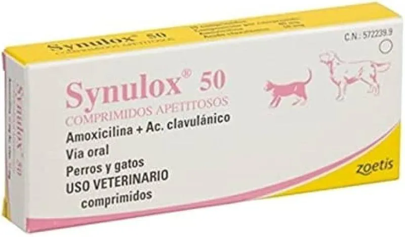 Czym jest Synulox dla psa i jak może pomóc w leczeniu?
