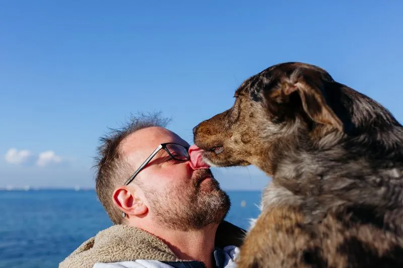 Dlaczego pies liże twarz? Odkryj sekrety psiej miłości i przywiązania