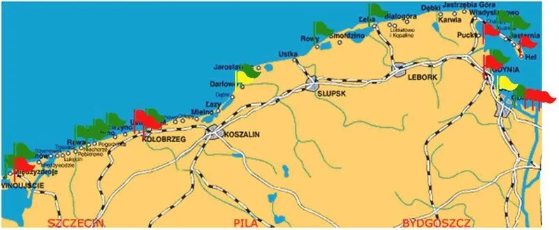 Gdzie na plażę z psem? Oto najlepsze miejsca w Polsce!