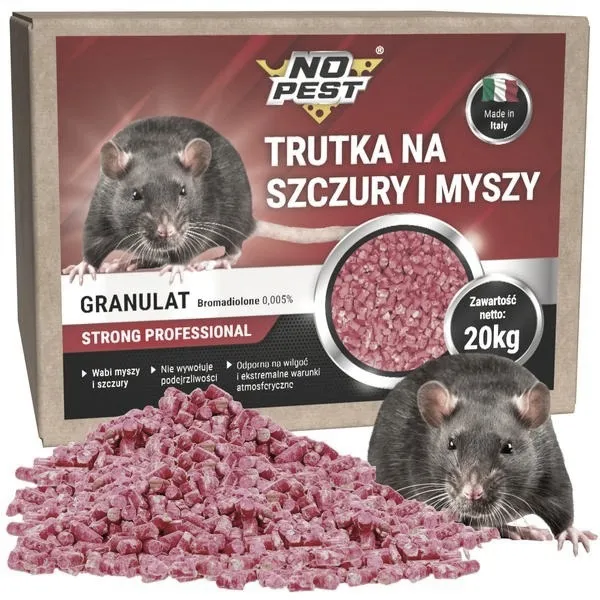 Gdzie szukać pomocy w zgłaszaniu obecności szczurów?