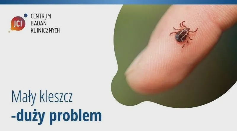 Jak długo potrafi przeżyć kleszcz na psie?