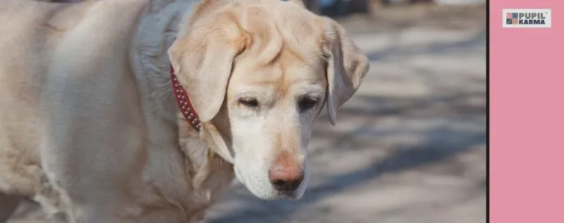 Jak przepracować karmę: praktyczny przewodnik