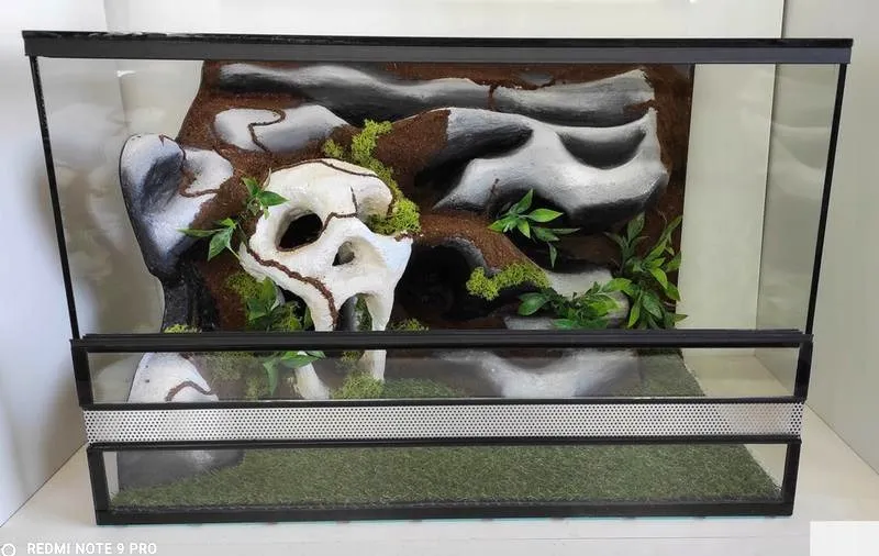 Jak stworzyć idealne terrarium dla gekona lamparciego? Co musisz wiedzieć!