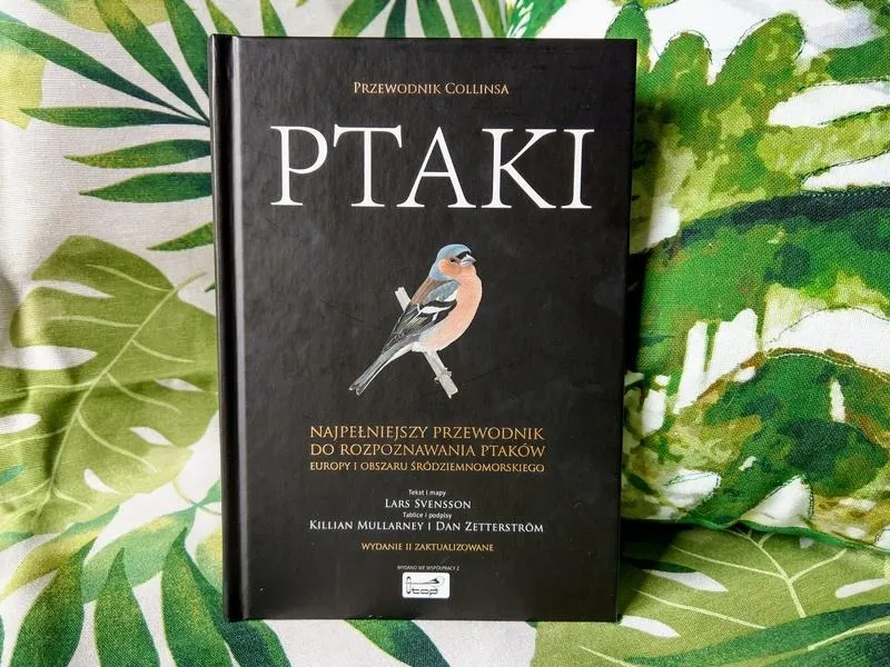 Jak stworzyć niesamowity album o ptakach, który zachwyci każdego miłośnika natury