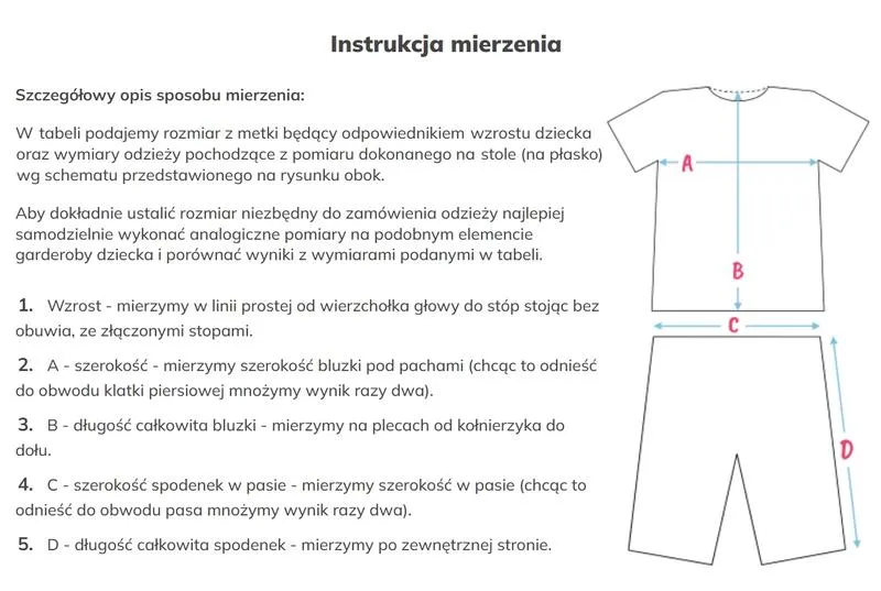 Jak właściwie mierzyć buty dla psa – poradnik dla właścicieli czworonogów