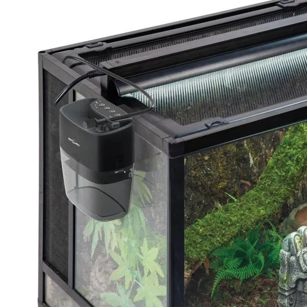 Jak własnoręcznie stworzyć zraszacz do terrarium dla roślin exotycznych?