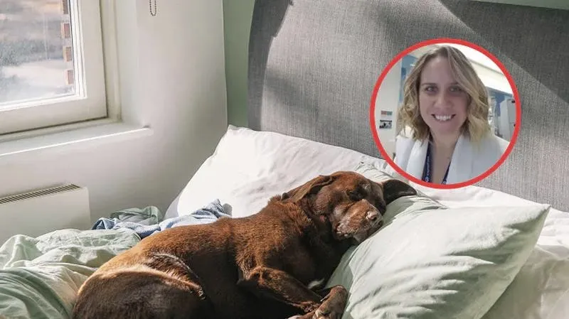 Jak wprowadzić dziecko do wspólnego życia z psem w domu?