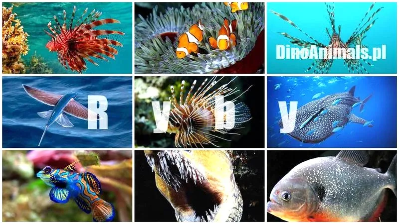 Jakie cechy sprawiają, że ryby są uznawane za zwierzęta zmiennocieplne?