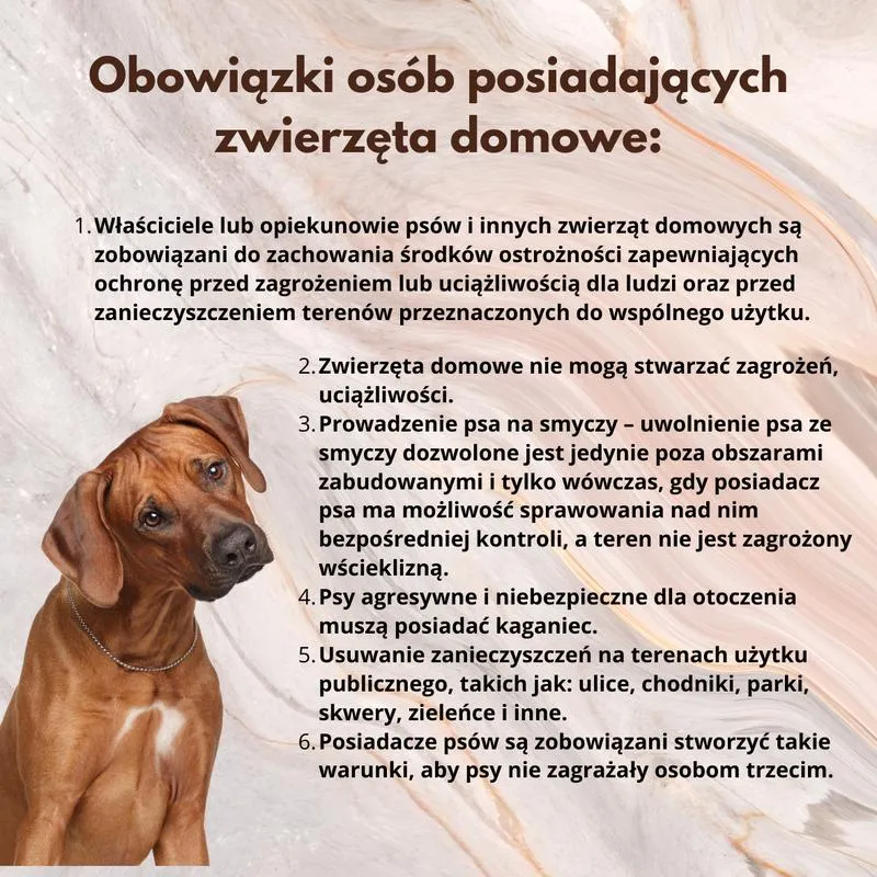 Jakie czynniki są szkodliwe dla psa i jak ich unikać?