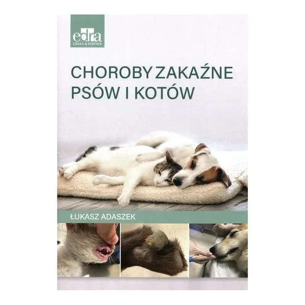 Jakie groźne choroby mogą przenosić psy na ludzi?