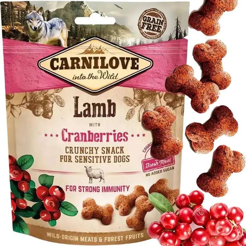 Jakie przysmaki pomogą psu w trawieniu? Praktyczne porady dla właścicieli