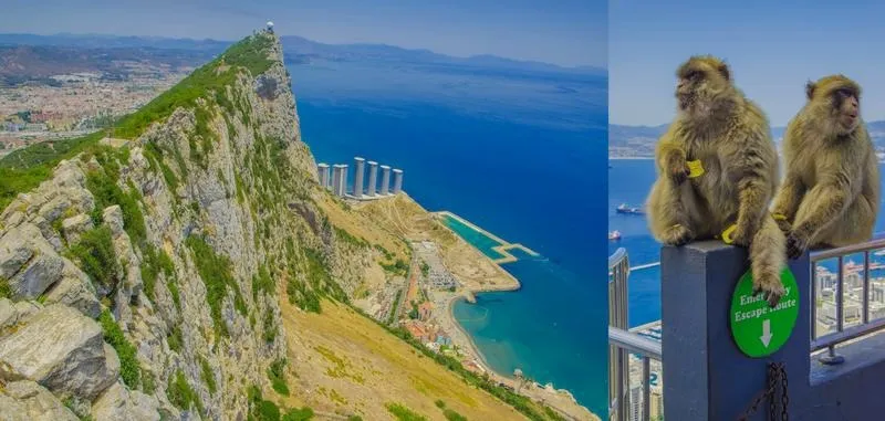 Jakie tajemnice kryją w sobie małpy na Gibraltarze?