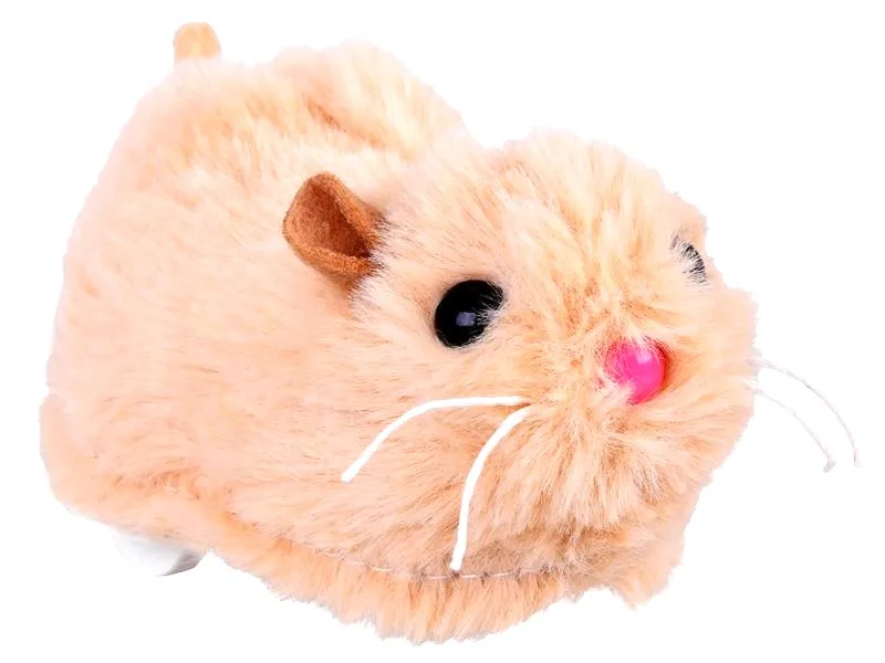 Jakiego chomika wybrać, aby stał się idealnym towarzyszem?