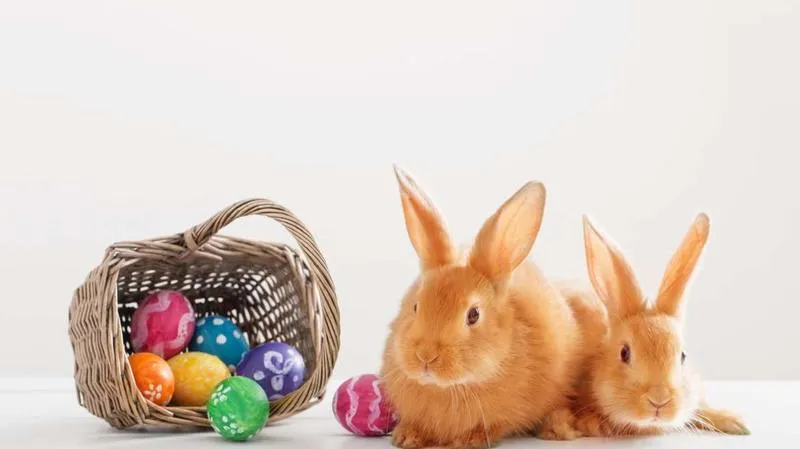 Kreatywne pomysły: jak udekorować królika ze styropianu na Wielkanoc