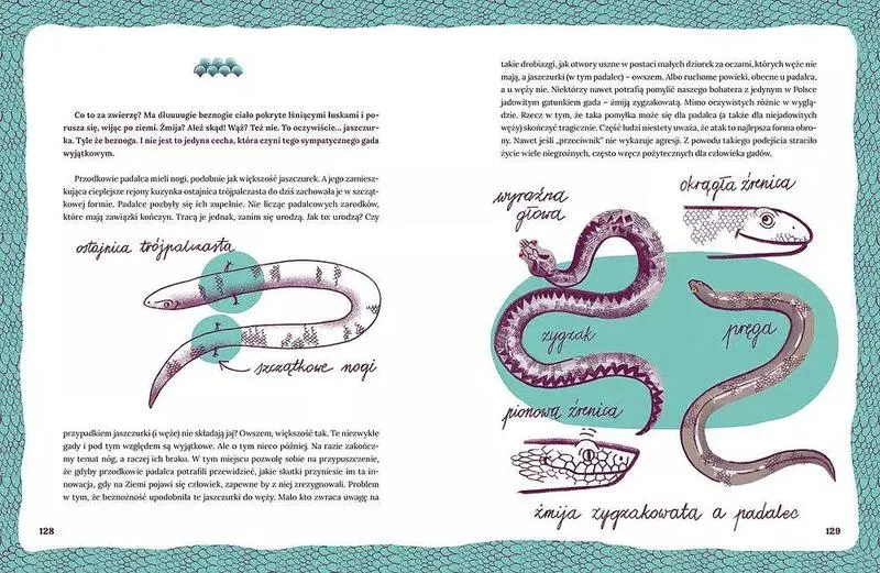 Niezwykły świat zwierząt, które nie mają nóg – odkryj ich fascynujące życie