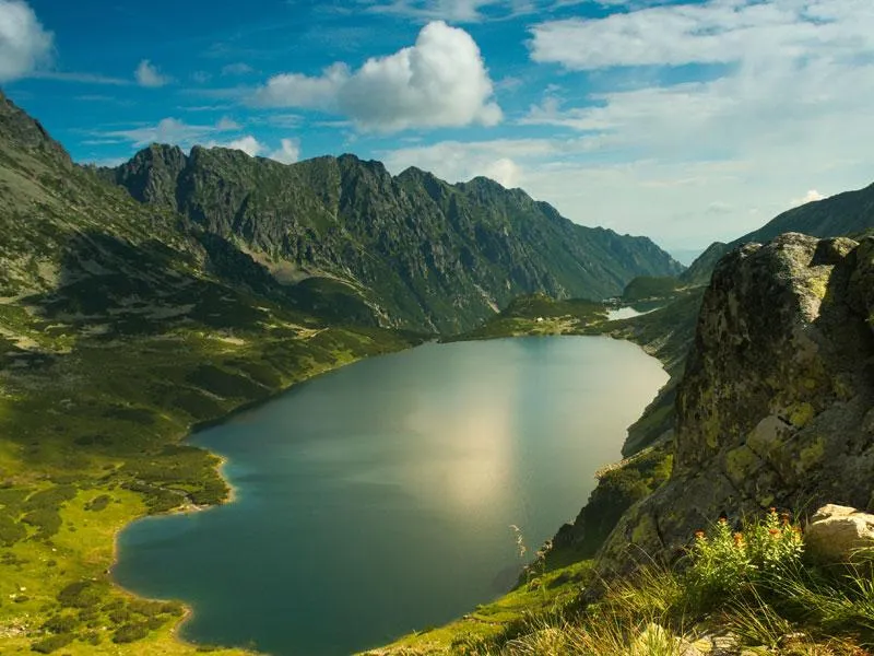 Odkryj fascynujący świat zwierząt Tatrzańskiego Parku Narodowego