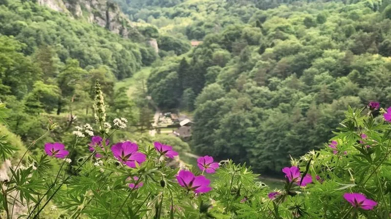 Odkryj fascynujący świat zwierząt w Ojcowskim Parku Narodowym