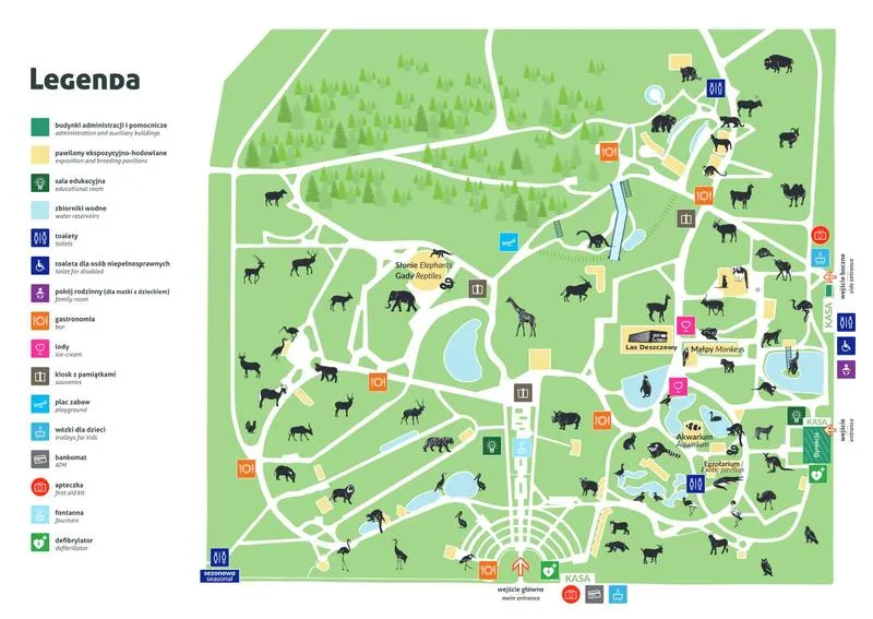 Odkryj fascynujący świat zwierząt w zoo Chorzów: Co warto zobaczyć?