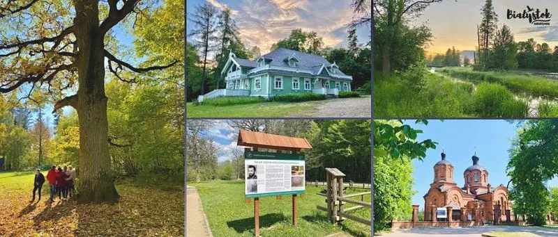 Odkryj tajemnice puszczy białowieskiej: ile gatunków zwierząt ją zamieszkuje?