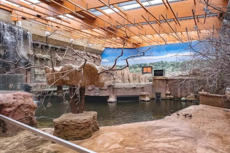 Odkryj tajemnice Wrocławia: czy w zoo znajduje się oceanarium?