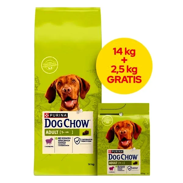 Odpowiednia karma dla chow chow – jak wybrać najlepszą dla swojego pupila?
