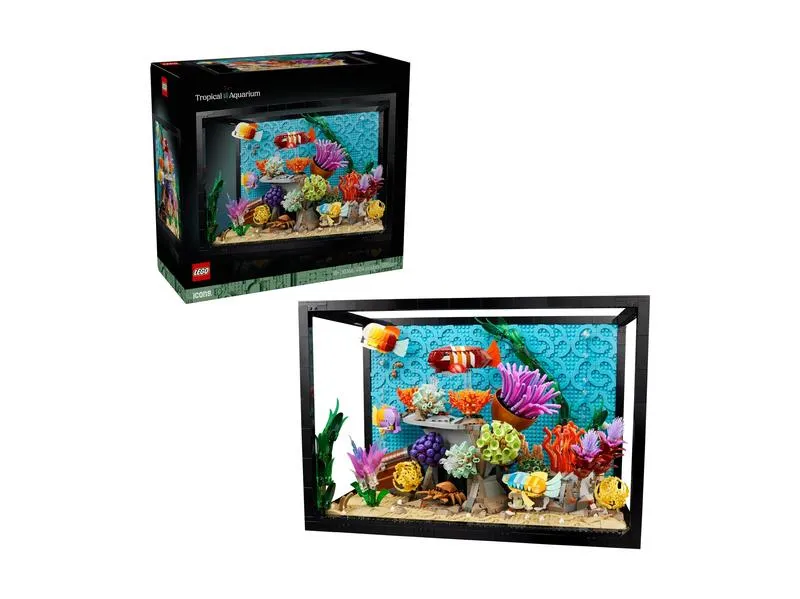 Pierwsze akwarium - krok po kroku do stworzenia własnego podwodnego świata