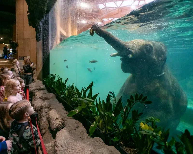 Przewodnik po Łodzi: Jak łatwo dotrzeć do zoo?