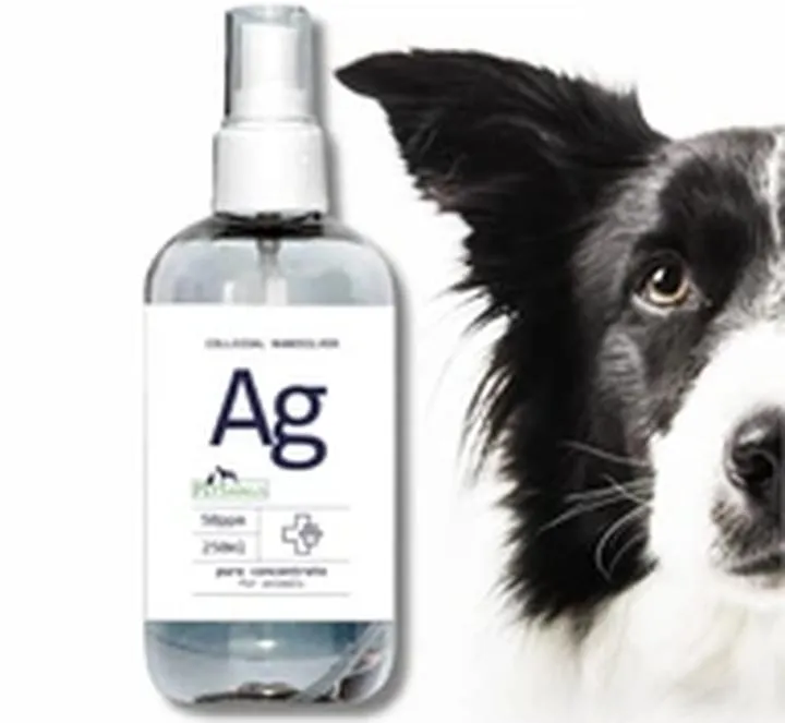 Skuteczne metody na odkażanie rany u kota – co warto wiedzieć?