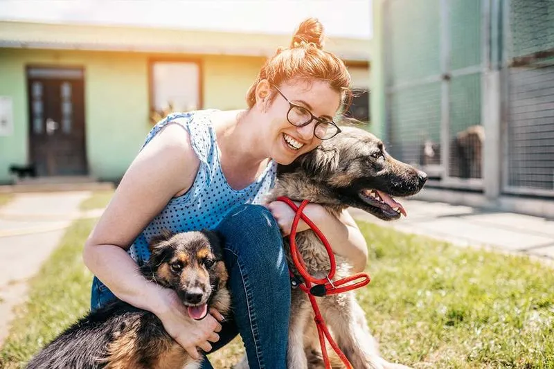 Skuteczne metody na pozbycie się psa z domu - co warto wiedzieć?