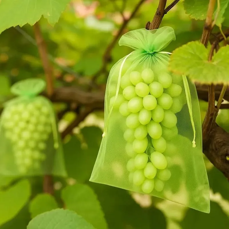Skuteczne metody na zabezpieczenie winogron przed ptakami w ogrodzie