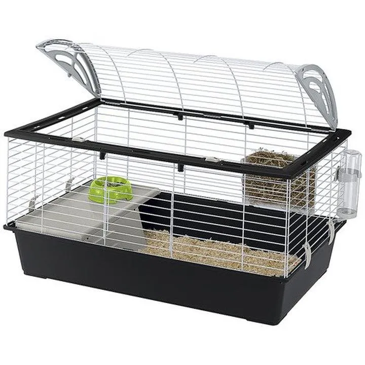 Skuteczne sposoby na złapanie królika do klatki - poradnik dla każdego miłośnika zwierząt