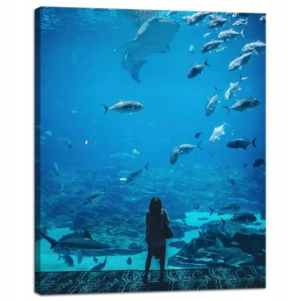 Zaaranżuj idealne akwarium: dno o wymiarach 40x50 i jego tajemnice