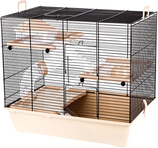 Akcesoria dla chomika