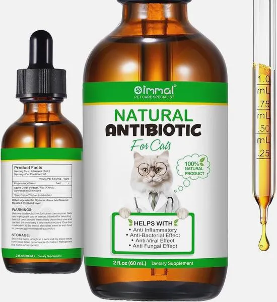 Antybiotyki dla kotów