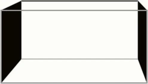 Aranżacja akwarium 40x50