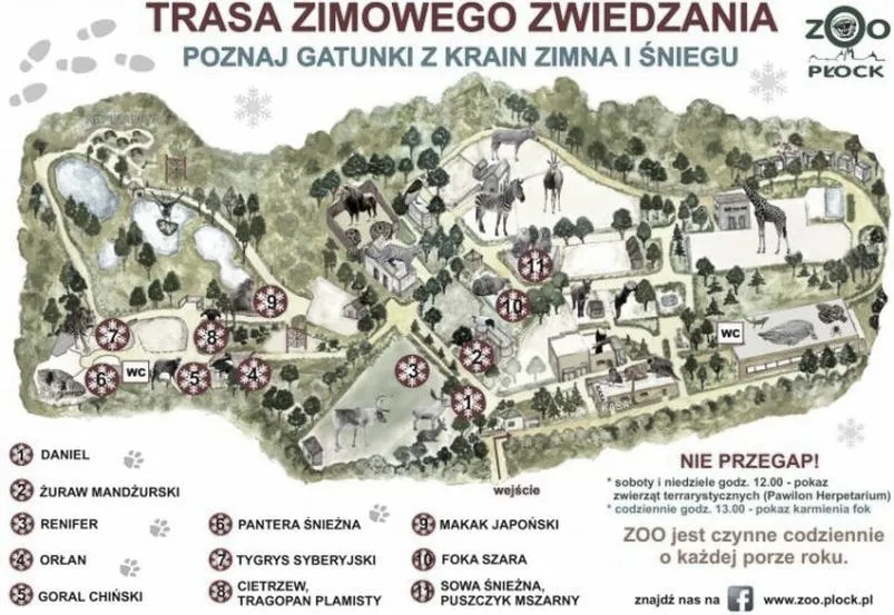 Atrakcje ZOO Płock