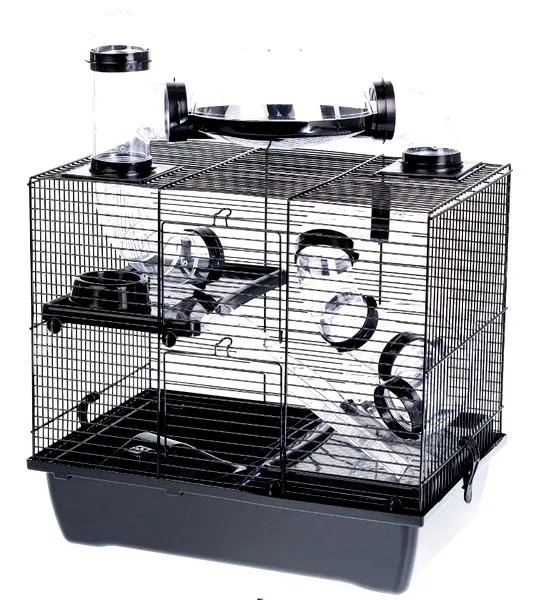 Bezpieczeństwo chomika