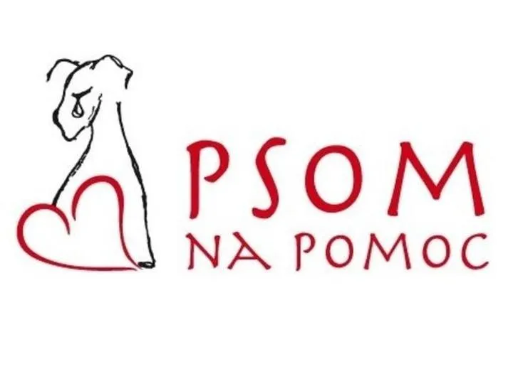 Bezpieczna pomoc zagubionym psom