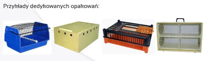 Bezpieczny transport ptaków