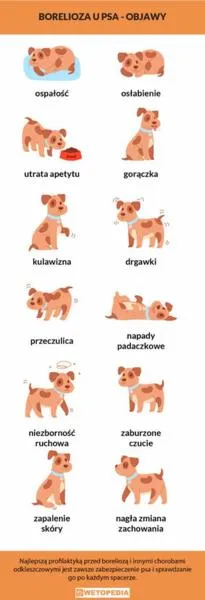 Borelioza u psa