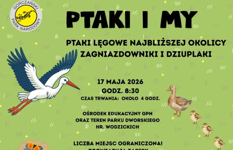 Budowa gniazd ptaków