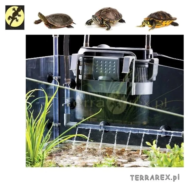 Ciche filtry dla żółwi