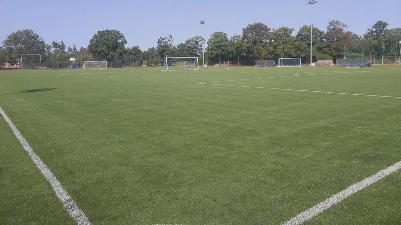 Czajka płatkolica i sport