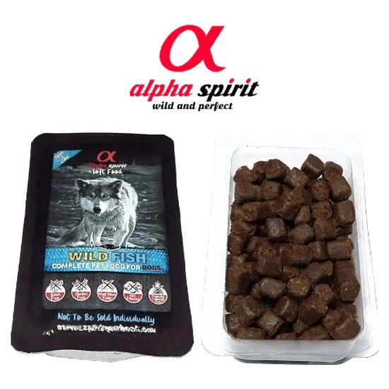 Dieta dla starszego psa