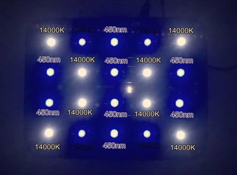 Diody do akwarium morskiego