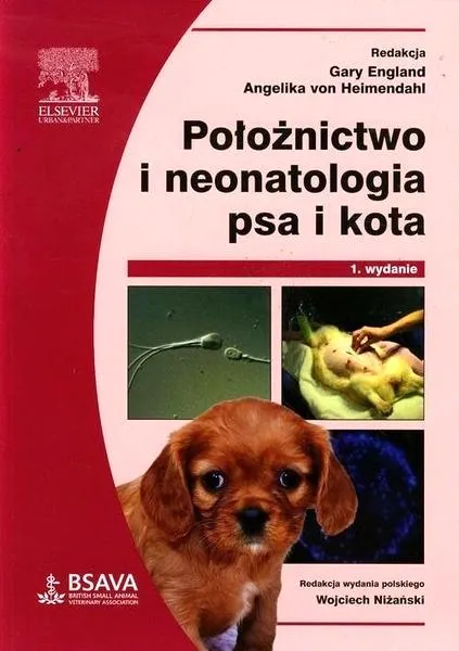 Dni płodne u suki